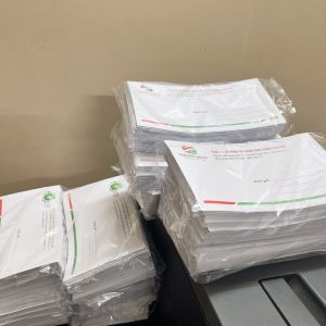 In Phong Bì Kẻ Sọc Hai Màu