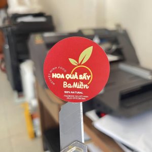 In Tem Nhãn Hoa Quả Sấy Ba Miền